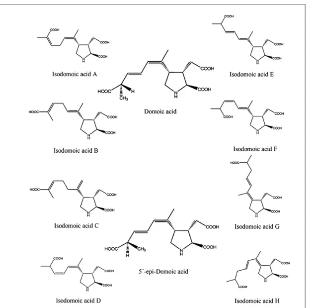 Fig. 1: Chemical  structures of  some ASP toxins  Reproduced with  permission from  (EFSA, 2009c).