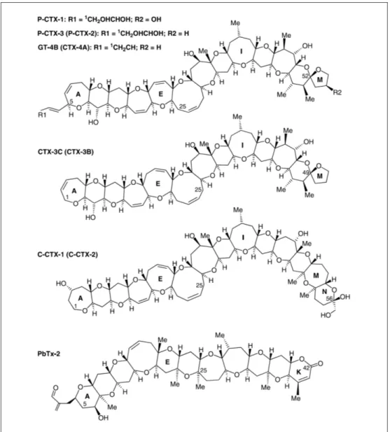 Fig. 3: Chemical structures  of some ciguatoxins  and brevetoxin PbTx-2  Reproduced with permission  from (Lewis, 2006).