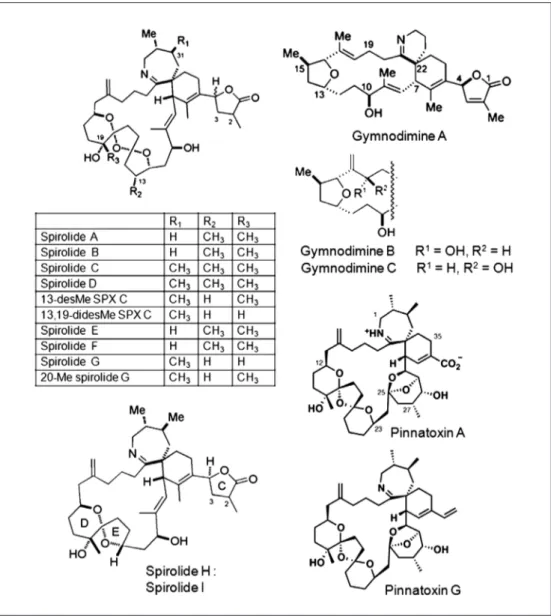 Fig. 4: Chemical structures of  spirolides and gymnodimines