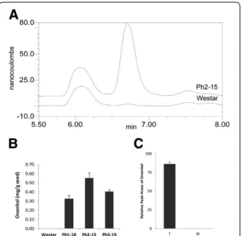 Figure 7 Changes in phytate and free phosphate in phaseolin- phaseolin-IMT transgenic lines