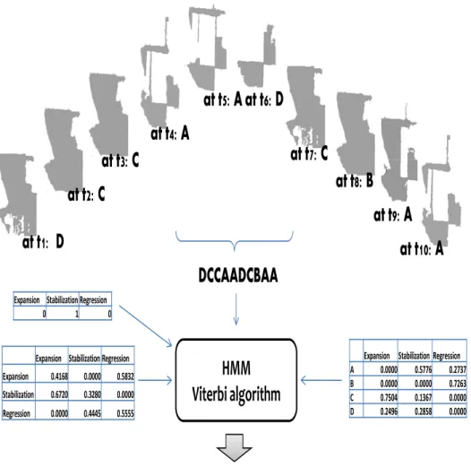 Figure 3. General scheme for the interpretation of spatiotemporal events. 