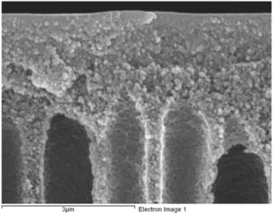 Figure  3.1 Scanning  electron  microscope  pictures  of  an  asymmetric  membrane for  gaseous separations.
