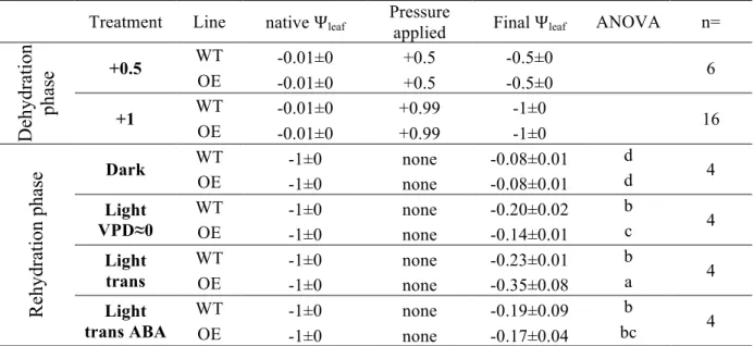 Table 1: leaf water potential (Ѱ leaf , MPa) ± SE before and after the pressurisation and rehydration 634 