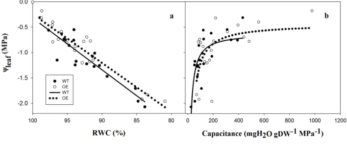Figure  7:  relationship  between  Ѱ leaf   and  RWC  (a)  and  Ѱ leaf   and  C  (b).  Data  were  obtained  from  leaves 689 