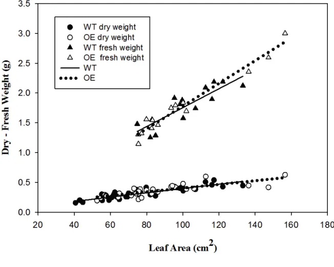 Figure S2: relationship between dry weight and leaf area (circles) and fresh weight and leaf area 710 