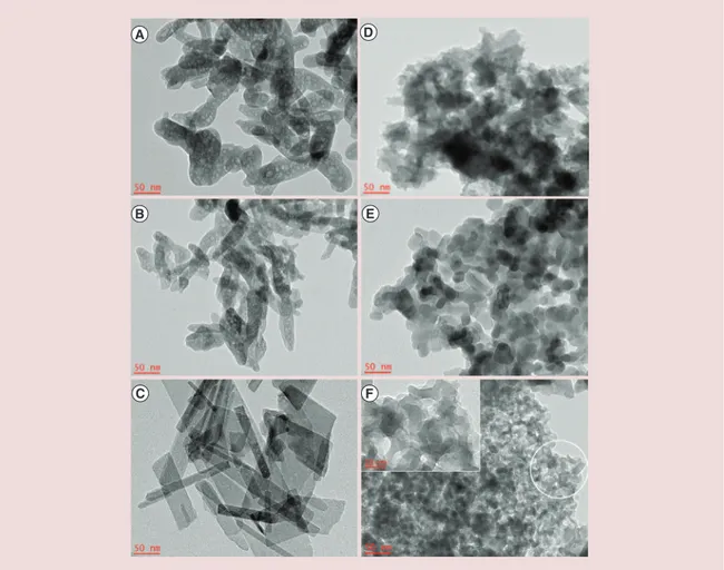 Figure 1. Transmission electronic microscopy micrographs of hydroxyapatite samples. The insert in the image F  corresponds to the encircled portion and highlights the typical mesofoam morphology of sample F.