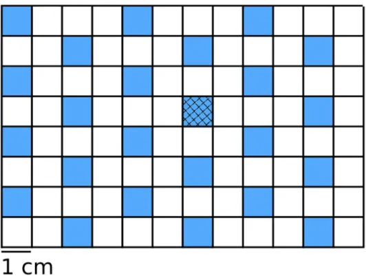 Fig 1. The 96-well microplate was simulated with 24 wells being filled with Davis minimal broth (blue).