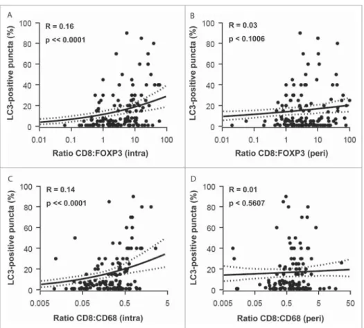 Figure 5. Correlations between LC3B puncta and CD8 C :FOXP3 C and CD8 C :CD68 C ratios