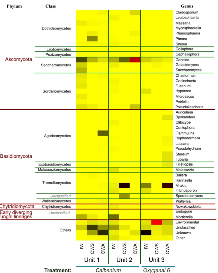 Figure 2. Heatmap representing relative abundance of fungal communities in IW, OWS and OWA collected in the three studied DUs