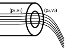Fig. 1. Simple hemorrhage located at the end of a blood vessel.