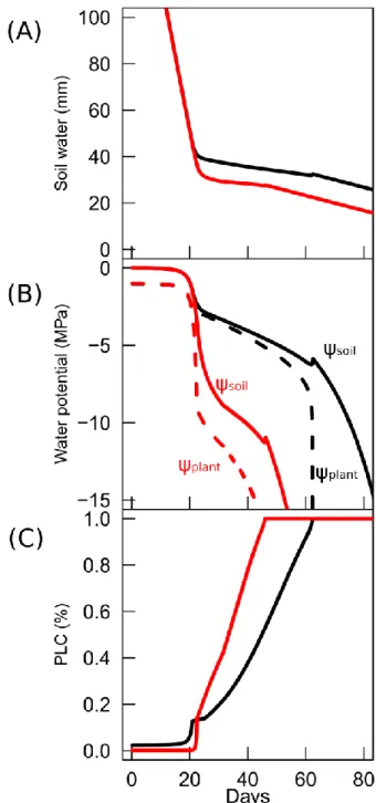 Figure 3: Simulated temporal dynamics of soil and plant dehydration assuming that stomata close when 198 