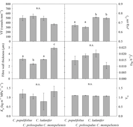 Figure 2. Mean ± standard error values for vessel frequency (VF, n = 3), mean wood densities ( ρ , n = 7), ﬁ bre wall thickness (n = 3), thickness-to span-ratio ((t w b −1 ) 2 , n = 3), vessel grouping index (V G , n = 3, a minimum of 90 vessels were measu