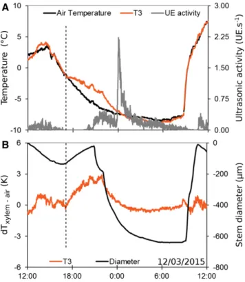 Figure 4. Sequence of freezing exotherms observed using thermocou- thermocou-ples (differential thermal analysis [dT], xylem 2 air temperature; A) and accumulated UEs (B) in a P