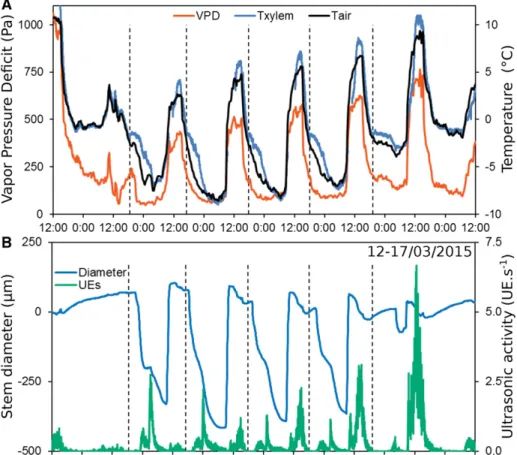 Table I). Daytime UE activity increased with VPD and decreasing soil temperature. The observed diameter shrinkage indicates that the water supply could not compensate the evaporative demand, resulting in  in-creasing drought stress during sunny days (winte