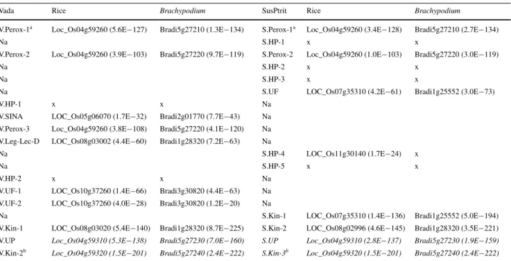 Table 5    Best blast hits ( ≤ 1.0E − 15) of the predicted genes in Vada and SusPtrit sequences with the rice and the Brachypodium gene catalogs