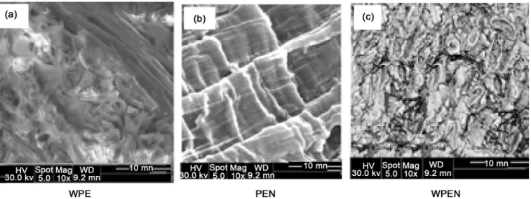 Figure 1.  SEM images of HDPE composites: (a) HDPE/Wood (WPE);  (b) HDPE/Nanoclay (PEN);  and (c) HDPE/Wood/Nanoclay  (WPEN)