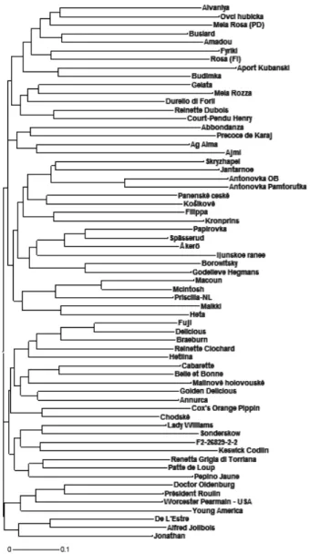 Figure 1. The neighbor-joining tree of the 63 accessions.