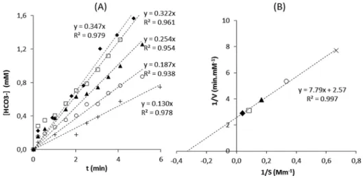 FIG. 3. (a) Determining the initial velocity. The amount of product formed at different HPA concentrations (þ 1.5 mM, 䊊 3 mM, 䉱 6 mM, ⵧ 12 mM and 䉬 25 mM) was plotted against time
