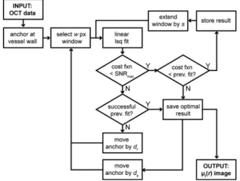 Fig. 1 Flow diagram of the fitting process. Several intermediate steps enable the algorithm to handle discontinuities and noise