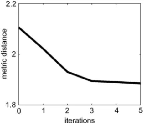 Fig. 2. Figure plots the averaged metric distances over 40 left hippocampi at each iteration.