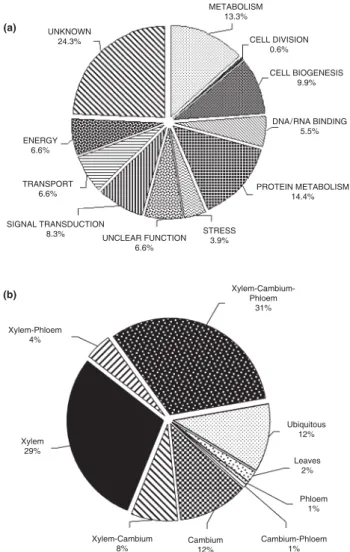 Fig. 1 (a) Functional classification of the 181 xylem vs phloem  subtractive library (Xp) unigenes showing significant homologies