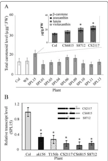 Figure 5 Involvement of SPL15 in phenotypic alteration of sk156. (A) Carotenoid levels in SPL loss-of-function mutants specifying nine SPL genes, including SPL15