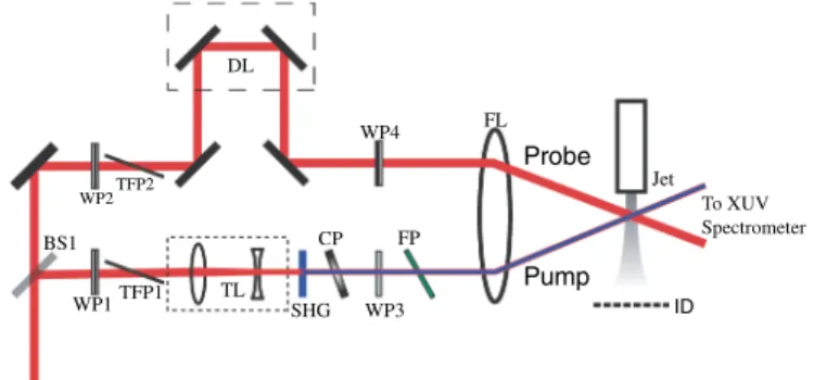 Figure 3 shows the harmonics generated by the pump beam and the probe beam. The pump beam is off-axis and its harmonics are labeled (Pump), while the harmonics  gen-erated in the probe beam are labeled (Probe) in the figure.