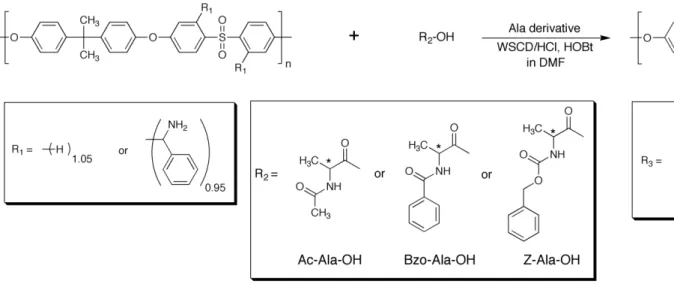 Fig. 1      Synthetic scheme of polysulfones bearing an alanyl residue as a chiral selector