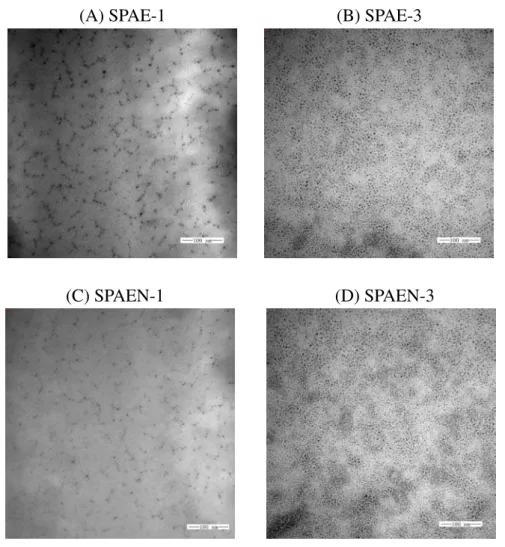 Fig. 11. Morphology of SPAE-1,3 and SPAEN-1,3 ionomers studied by TEM. 