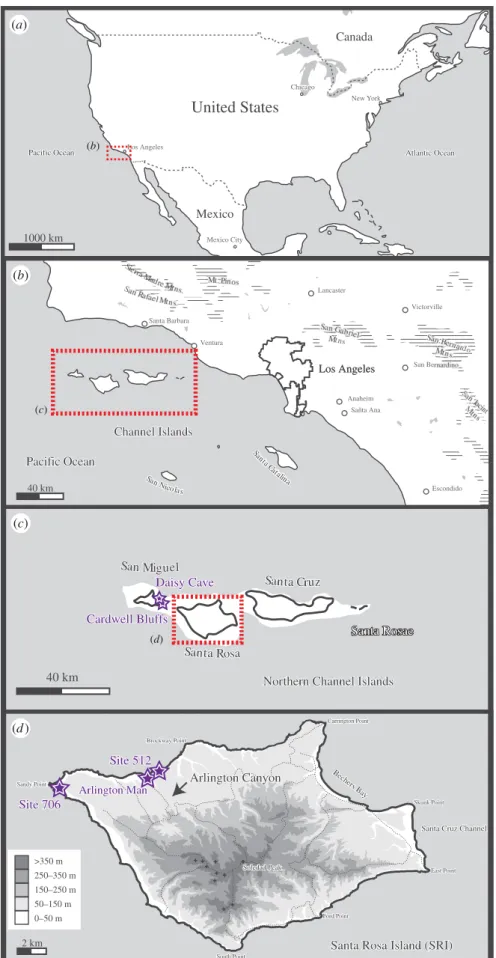 Figure 1. Map of the California Channel Islands, including (a) the position of the Islands in relation to mainland USA, (b) the position of the islands in relation to the US West Coast, (c) the Northern Channel Islands including an outline of the Santa Ros