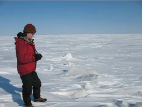 Figure 7: Photograph showing the small rubble feature about 100 m from the east edge of  the shoal in McKinley Bay