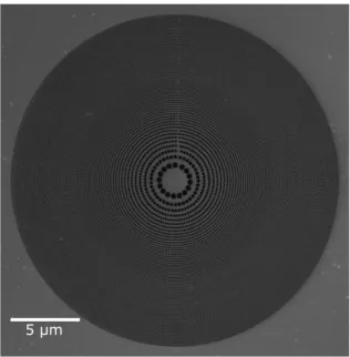 FIG. 3. Overview SEM image of the fabricated free-standing atom sieve.