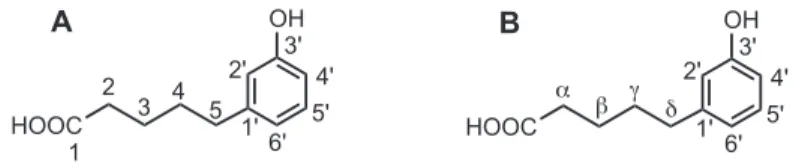 FIGURE 1 Numbering of the phenolic ring and its side chain with the current practice (A) and the older less fashionable use of lowercase Greek letters for the side chain (B).