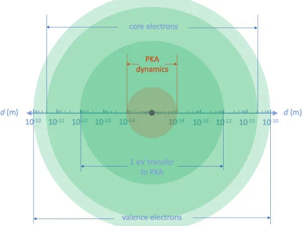 Figure 2-3: The cross sections of different electron atom interaction processes. The atomic nucleus is represented by a purple circle in the middle, which is on the order of 10 −15 m.