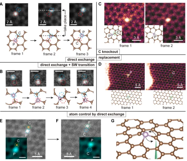 Figure 2-5: Illustration of competing experimental P dopant dynamics in graphene and its control.