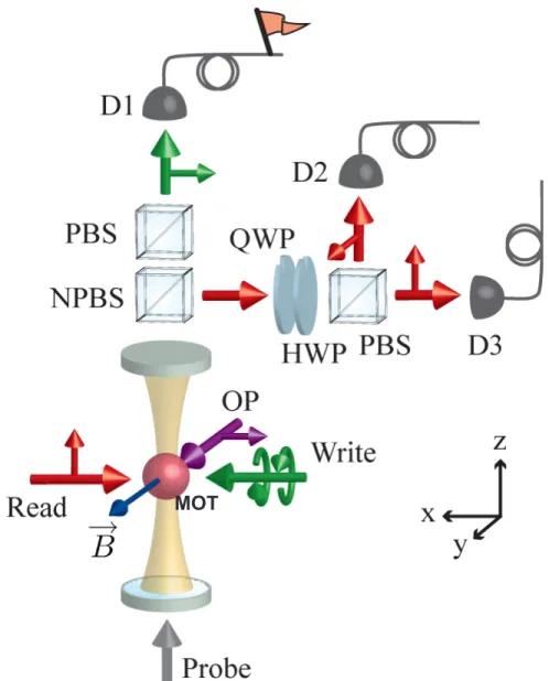 Figure 1-1: An illustrated overview of the entire experiment. A sample of ultracold Cesium atoms in an optical cavity stores the polarization state of the Write beam to be later ejected from the cavity into the polarization analyzation equipment on top of 