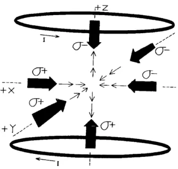 Figure  23.13.  Trapping  scheme  in  three  dimensions.  The  "spherical  quadrupole"  field  is  generated  by  twoI