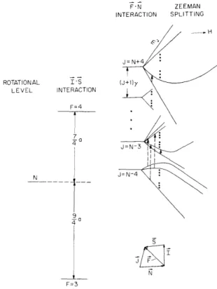 Fig.  III-11.  Energy-level  diagram  and  vector  coupling  model of  CsHg.  Solid  arrow:  AJ  = 0,  Am