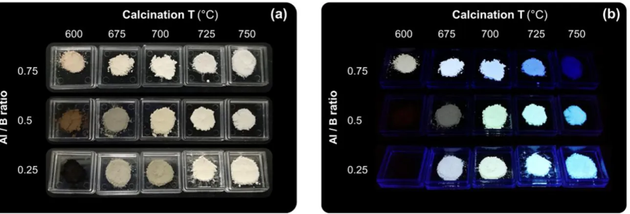Fig. 1 (a) Photographs of the optimized ZAB phosphor powders, under daylight and  (b) under NUV  illumination at 365 nm
