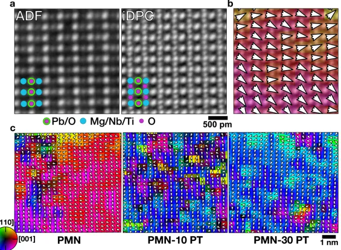 Figure 1: (a) Simultaneously acquired ADF and iDPC images of PMN along the h1¯ 10i projection with the (b) projected displacement (polarization) map from iDPC