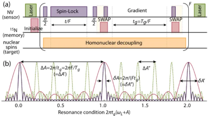 FIG. 3. Protocol for quantum-enhanced nuclear spin imaging.