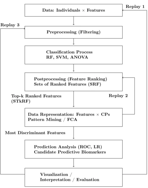 Figure 1: An original hybrid and exploratory approach to mining metabolomic data. The knowledge discovery process is guided by an analyst who is an expert of the domain of data.
