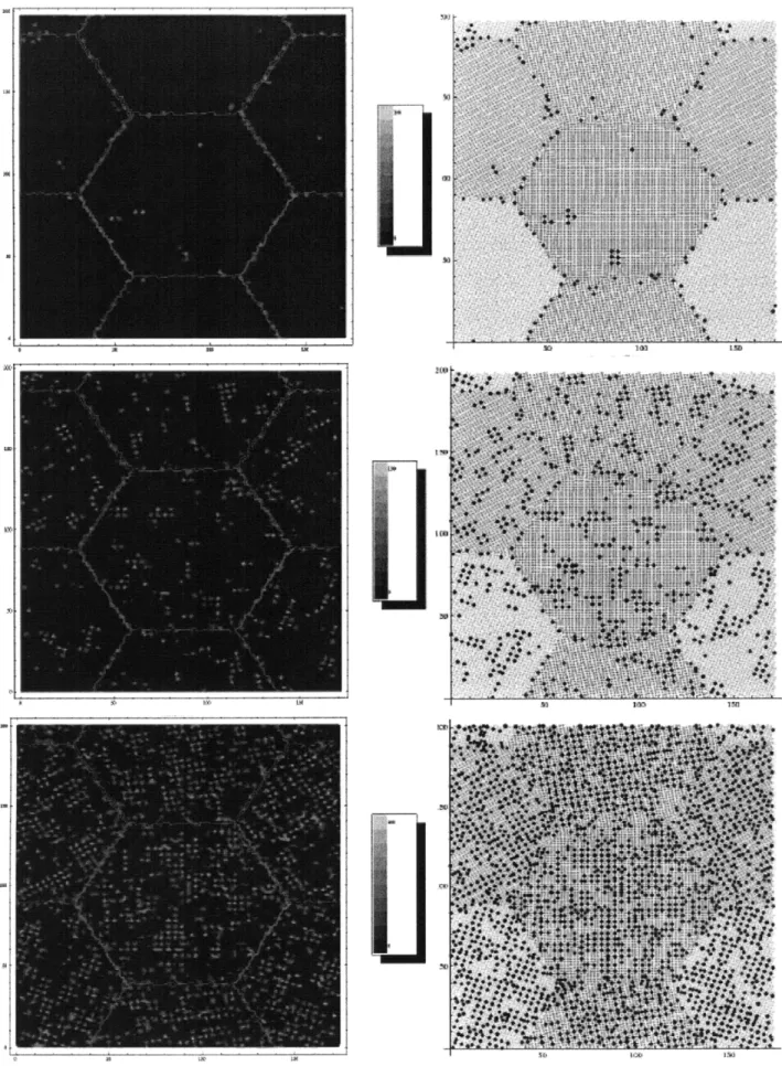 Figure 3-2. Atom istic plots  (right) and contour concentration plots  showing  at%Wg(eft)  of 1lOnto  models.