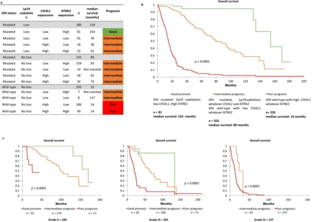 Figure 5. (a) Overall survival in glioma molecular groups according IDH status, 1p19 co-deletion and  CHI3L1 and NTRK2 expression