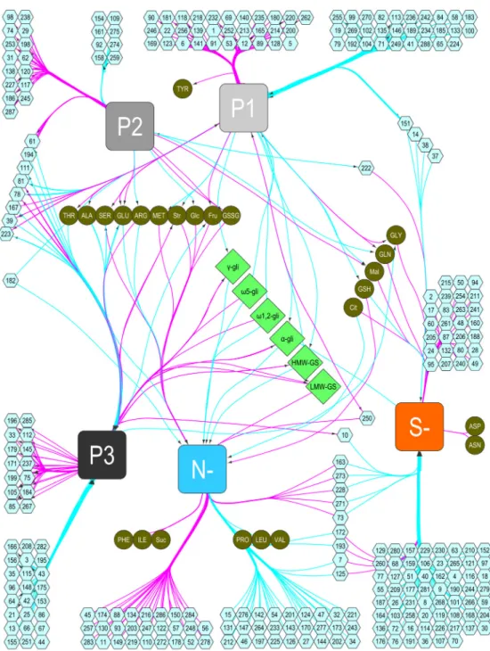 Fig 7. Nitrogen and Sulfur influenced regulatory network in wheat. Directed network inferred using the RulNet platform and illustrating the use of central attributes