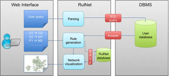 Fig 2. Scheme of the workflow of the RulNet platform and leading to the discovery and visualization of rules