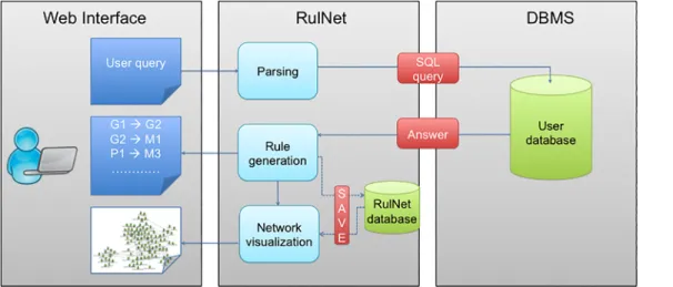 Fig 2. Scheme of the workflow of the RulNet platform and leading to the discovery and visualization of rules