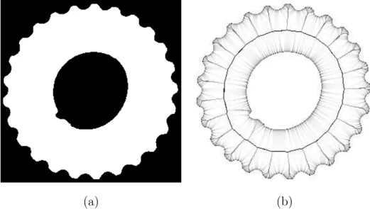 Fig. 7. (a): a set X (in white); (b): the bisector function of X.