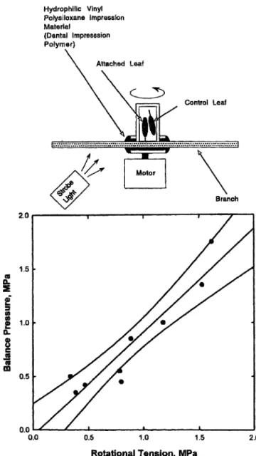 Figure 4. Comparaison entre la mesure de la tension dans les éléments conducteurs obtenue par la chambre de pression et celle obtenue par centrifugation (Holbrook et al