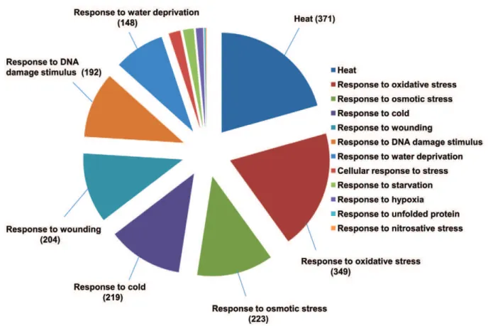 Figure 9. Distribution of Gene Ontology terms within the category ‘‘response to stress.’’
